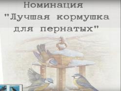 Итоги акции «Покормите птиц зимой!».